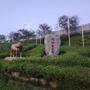 고촌마을 표지석 앞 네이버블로그