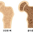 아지트짐 이미지