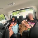 박스 더 영월 이미지