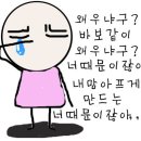 배고팡 이미지