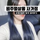 중랑구 미용실 비주얼살롱 사가정점 아람디자이너 애쉬블루 염색후기