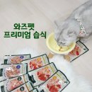 와즈펫(wispet) 이미지