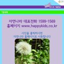 자연나라 이미지