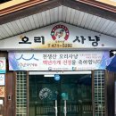 천생산오리사냥 이미지