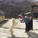 로쏘하우스
