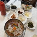 구구집 | 강원 속초 물회 현지인 맛집 :: [구구집] 내돈내산 후기