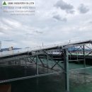 금호1호태양광발전소 이미지