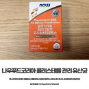 포스트푸드 | 나우푸드코리아 콜레스테롤 관리 유산균 │ 포스트바이오틱스 BBR 700억 후기