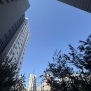 화이트밸리 | 판교밸리제일풍경채 33평 도배 시공 후기｜26년 신상 LX베스트 디아회벽 크림화이트