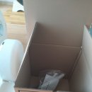 캣글루 사용 후기 3일차.