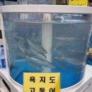 한이회초장집