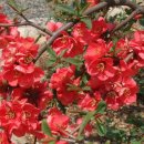 심천치유자연휴양림 이미지