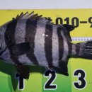 뉴환상민박 이미지