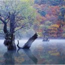 길머리 공원 이미지