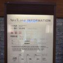 신세계이용 네이버블로그