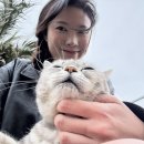 김녕오라이제주점 이미지