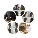 케이파마 이미지