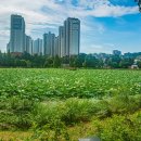 봉담호수공원 이미지