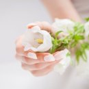 오로라 디자인아트