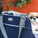 모드니세탁 이미지