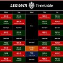 크로스핏 레오 이미지