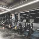 짐라이트 연희/연세대점 | 연희동헬스장, 최고급 시설에서 운동을 할 수 있는 짐라이트 연희연세대점을 다녀 온 후기