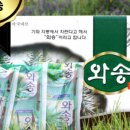 천연자연산와송