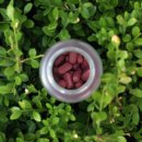 에스피애드 이미지