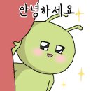 플러플리 FLUFFLY 네이버블로그