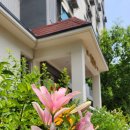 대곡1단지앞 이미지