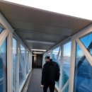 비상구커피 본점 | [여행] 제주도 3월_만발한 유채꽃🌼 함께해서 마냥 행복 가득했던 2박3일 여행