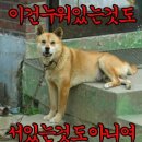 :다