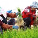 해미농협 하나로마트 이미지