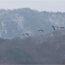 대위리-양지리 이미지