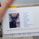 [제주도] 4박 5일 강아지랑 제주도가기 #1일차