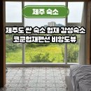 코쿤협재펜션 이미지