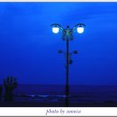 호미곶광장 이미지