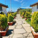 우도고래펜션 이미지