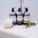 로얄워시 | 향수 뿌린 줄 알았어요… 촉촉한 샤워메이트 로얄 모이스처 퍼퓸 바디워시 3종 솔직 후기