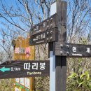 밧내재봉 Daum카페