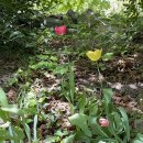 수빈민박 이미지