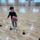 양주실내체육관 | 옥정동농구교실 삼성리틀썬더스 양주점에 아이 보낸 찐 후기입니다