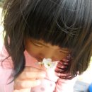 풀냄새꽃향기 이미지