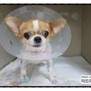 미드미동물병원 이미지