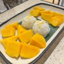 복돌맘 수제간식(폐업) | [뒷북러의 여행] 우기여도 넘좋아! 발바닥 아프게 돌아댕긴 태국 방콕 3박4일 여행기 2탄