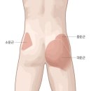 짐나인 이미지