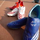 선부초등학교 이미지