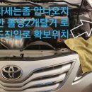 덴트강