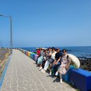 (주)제주미니버스투어서비스 이미지