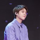보니 스타뉴스